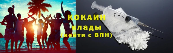 прущие грибы Володарск