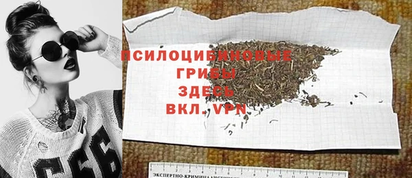 прущие грибы Володарск