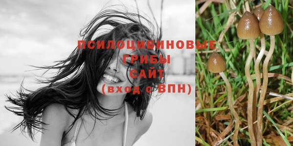 прущие грибы Володарск