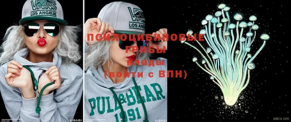 прущие грибы Володарск