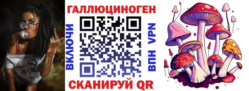 Псилоцибиновые грибы MAGIC MUSHROOMS  Купить закладки  Борзя 
